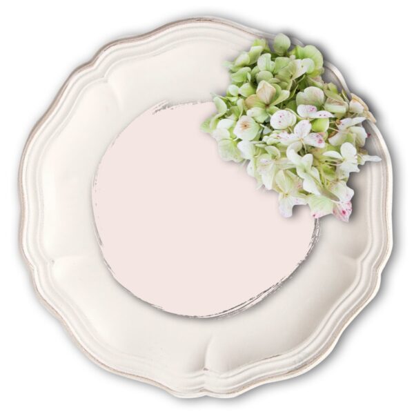 Vintage Bird - Apple Blossom Mineral Paint