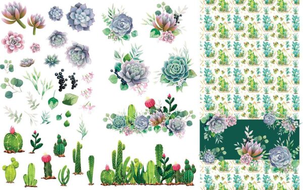 Belles and Whistles transfer - Cacti and Succulents - Image 5